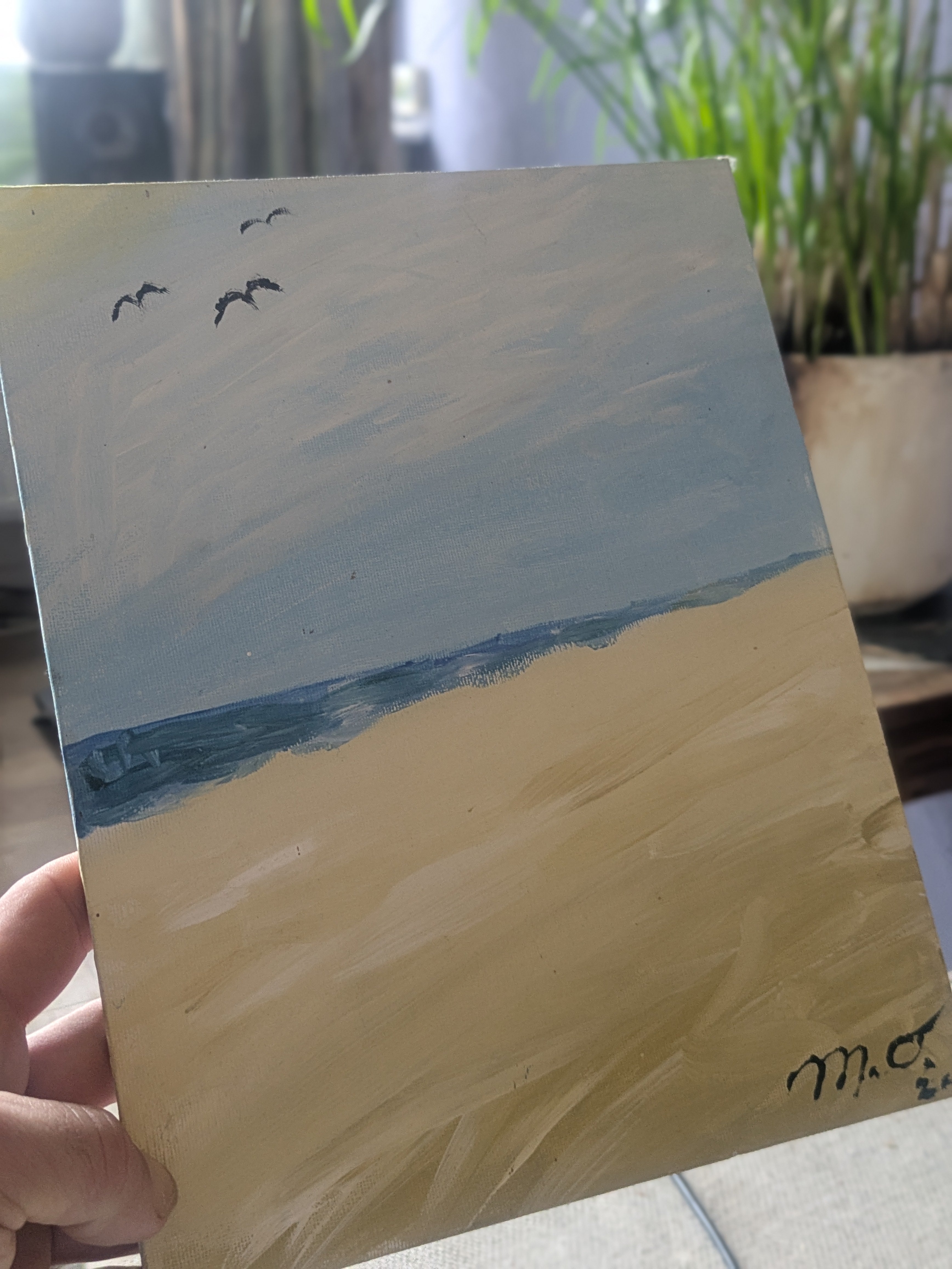 Satori Sanctuary Place (2024)